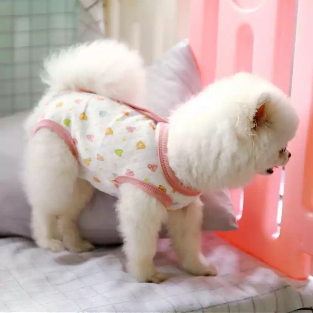 Bear recovery vest for dogs